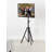 Portable TV Tripod