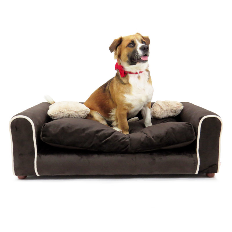 Canapé pour chien pour animaux à fourrure, Chocolat, Grand (H 13 po x l 40 po x P 23 po)