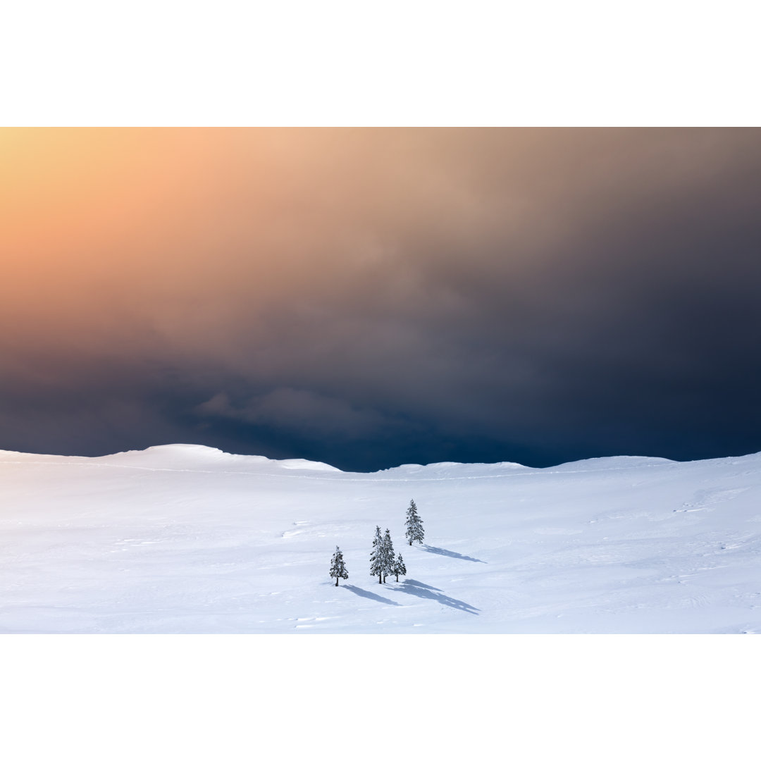 Winterlandschaft mit Tannenbäumen von Borchee - Drucken