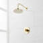 Lexia Pressure Balance Shower Set-1086430285