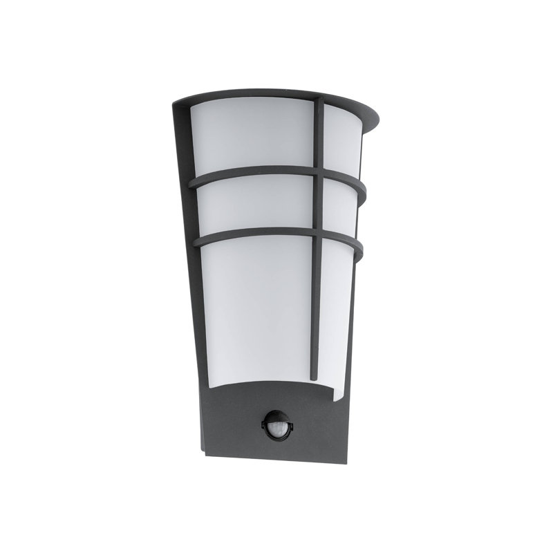 Aliza 2 - Bulb Integrated LED Outdoor Flush Mount, Anthracite