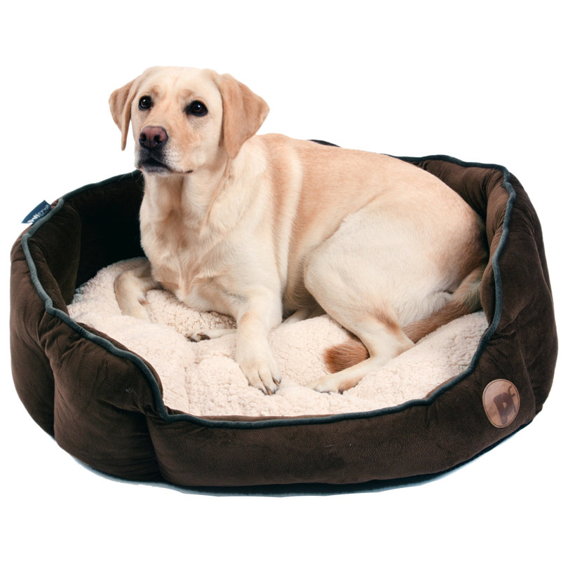 Isabel Orthopedic Pet Bed, Small (45cm W x 45cm D x 23cm H)