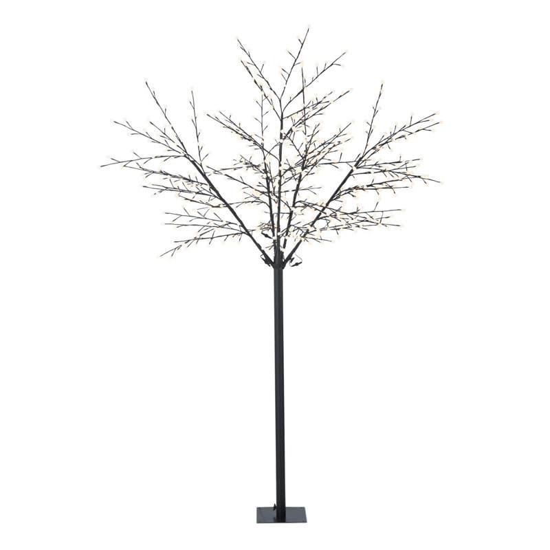 Indoor / Outdoor Lamp
