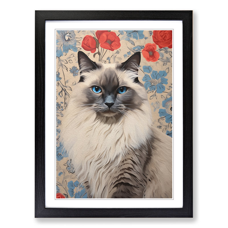 Ragdoll Cat Contemporary - Single Picture Frame Print on Wood, Black Framed, 64cm H x 46cm W x 2cm D