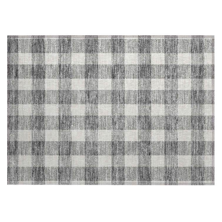 Colzie Gingham Indoor / Outdoor Rug