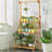 Roxanne Ladder Bookcase