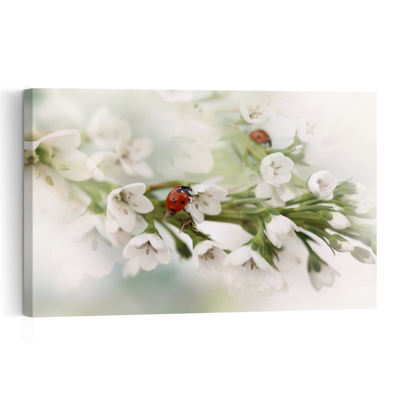 Gentle Ladybug Blossoms Delicate Peaceful Serene Ladybug Nature Spring Wall Art Print - Print, 30.48cm H x 45.72cm W