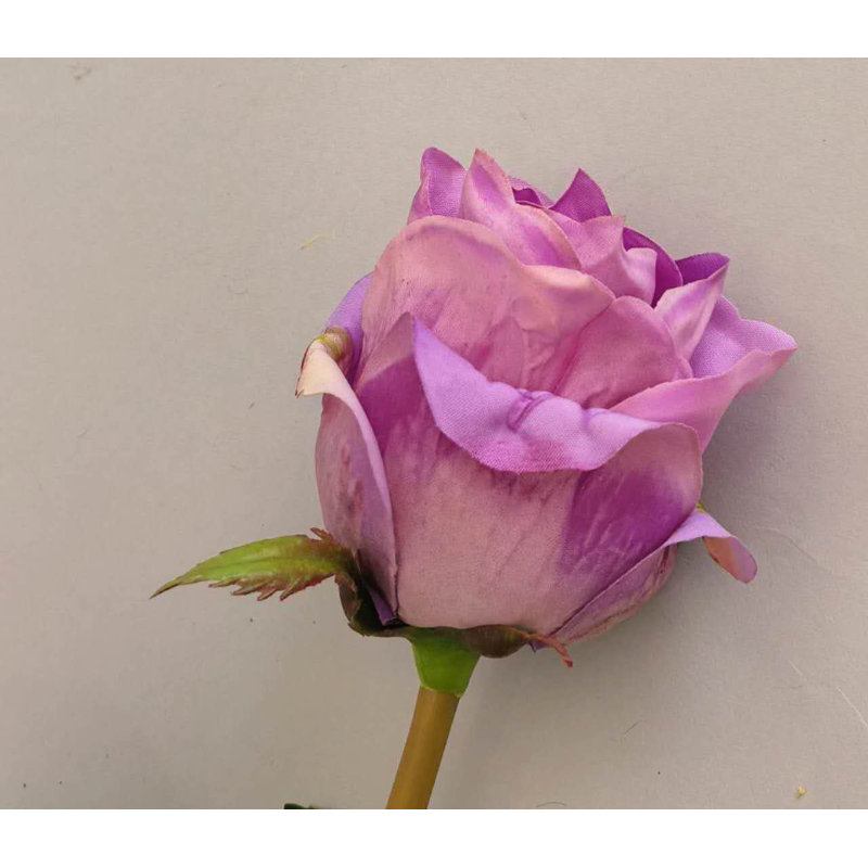 TIGE DE ROSE FRAÎCHEUR AU TOUCHER 25'', Purple