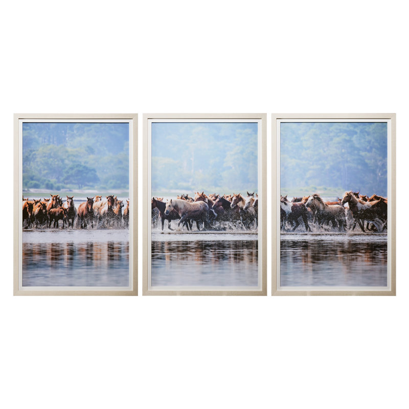 «Water Horses II» par PHBurchett, reproduction d'art encadrée sous verre, 63" H x 43" W, 3