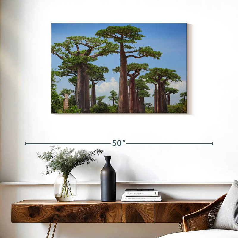 Harnek Baobab Reserve, 24" H x 36" W