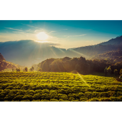 Montagnes sous un beau lever de soleil par Focusp PhotoArt
