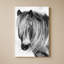 Glamour Gaze par Wink Gaines - Impression sur toile-891882426-892234977-892234979