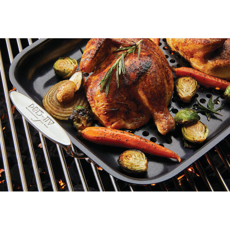 ALL-CLAD Nonstick Outdoor Roaster