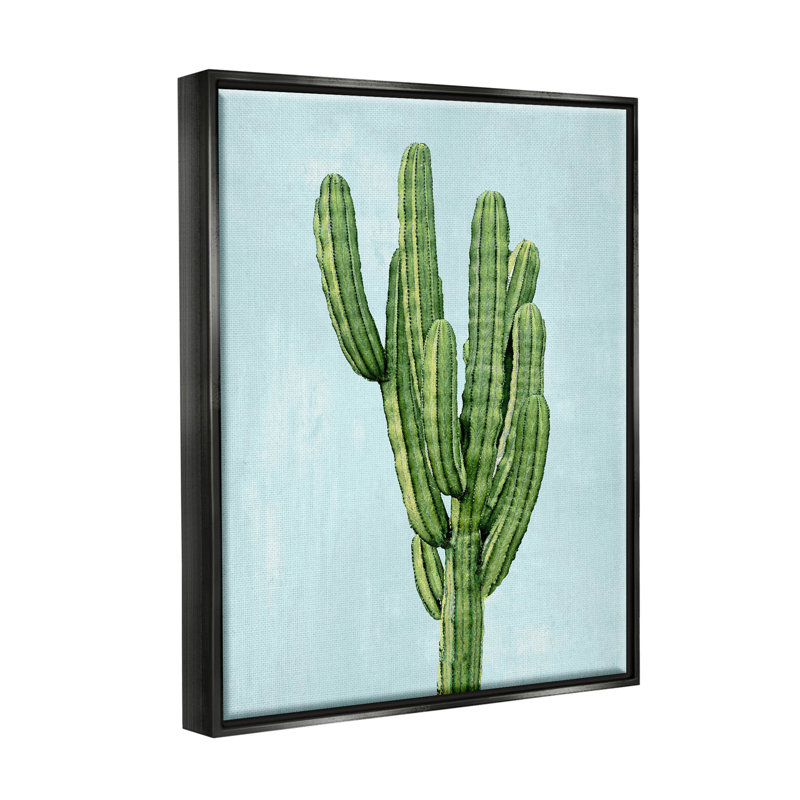 «Desert Cactus Blue Sky» par Mia Jensen, H 21 po x l 17 po x P 1,7 po, Cadre flottant noir de jais