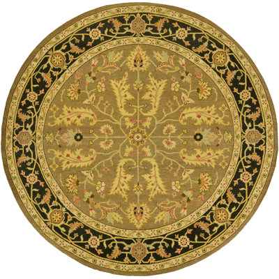 Pooja Wool Area Rug