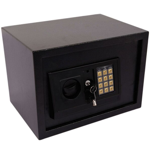 Blue Elephant Dual-Lock Safe Box | Wayfair.co.uk