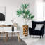 66 plantes-97701030