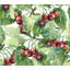 Khobi 2.5m x 2.5m Matte Mural-1457701851