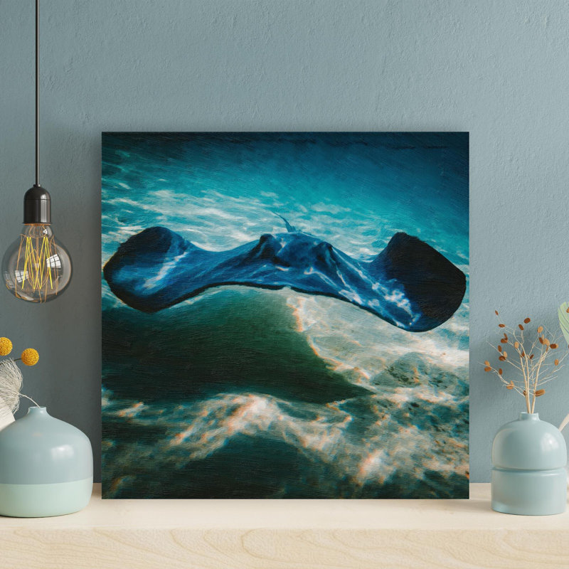 Gros plan, photo de Manta Ray - 1 pièce, impression carrée sur toile tendue, H 32 po x l 32 po