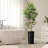 Artificial Tree in Blue and White Planter Fake Bamboo Silk Tree (Plant Pot Plus Tree)-103684163