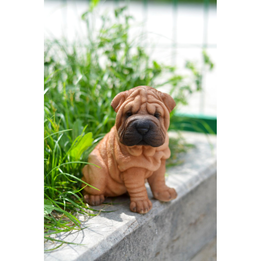 Sitting Shar Pei Puppy Statue Hi-Line Gift Ltd.