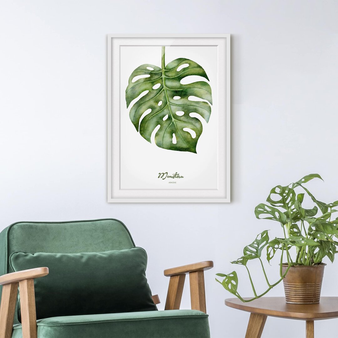 Gerahmtes Papierbild Aquarell Botanik Monstera