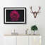 Fuscia Pink Carnation - Picture Frame Graphic Art Print-56713594-56713598