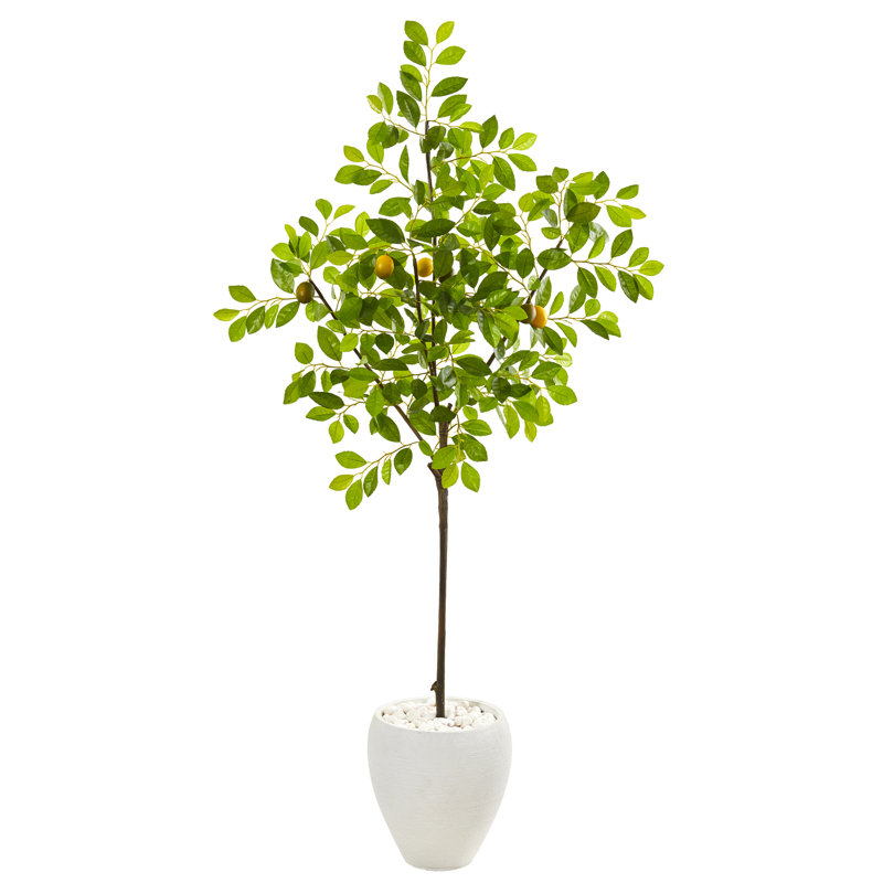 68'' Faux Lemon Tree in Earthenware Planter