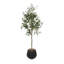 Oliveira moderne Oliveira avec pot de chambre de bébé et mousse ensachée-810126751-810126741-810126737