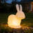Solar Bunny Garden Floor Lamp Outdoor Lawn Decorative Stake Light IP65 Waterproof Dual Charging LED Ambient Light-127858916