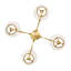 Jasi 4 - Light Chandelier