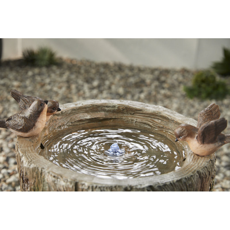 Fountain with Lights