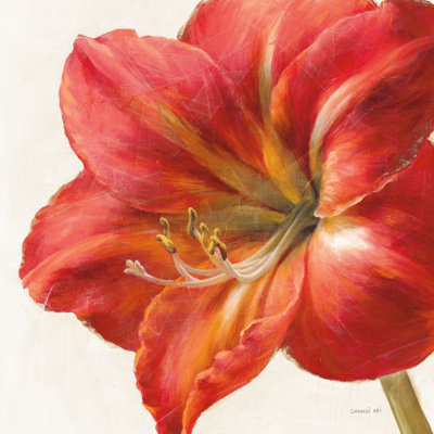 " Vivid Amaryllis " by Danhui Nai Painting Print