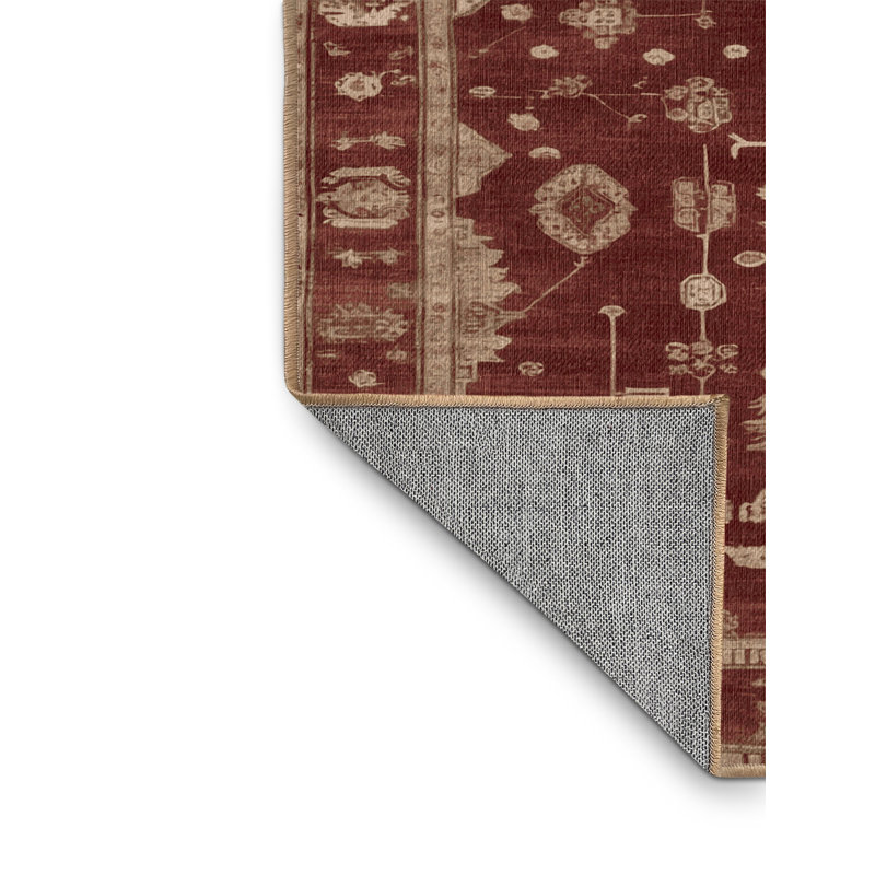 Tapis brun lavable à la machine, Rond 5 pi