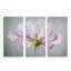 Une photographie à plusieurs images à motif floral de qualité supérieure sur toile-1757636860
