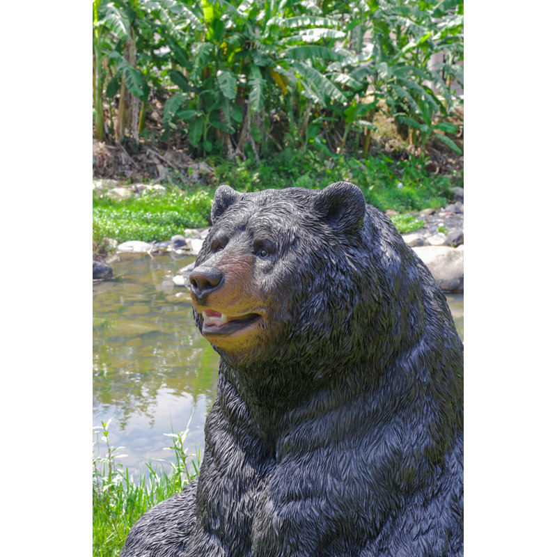 Black Bear Sitting