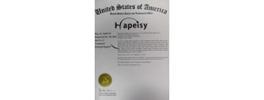 Logo Hapeisy