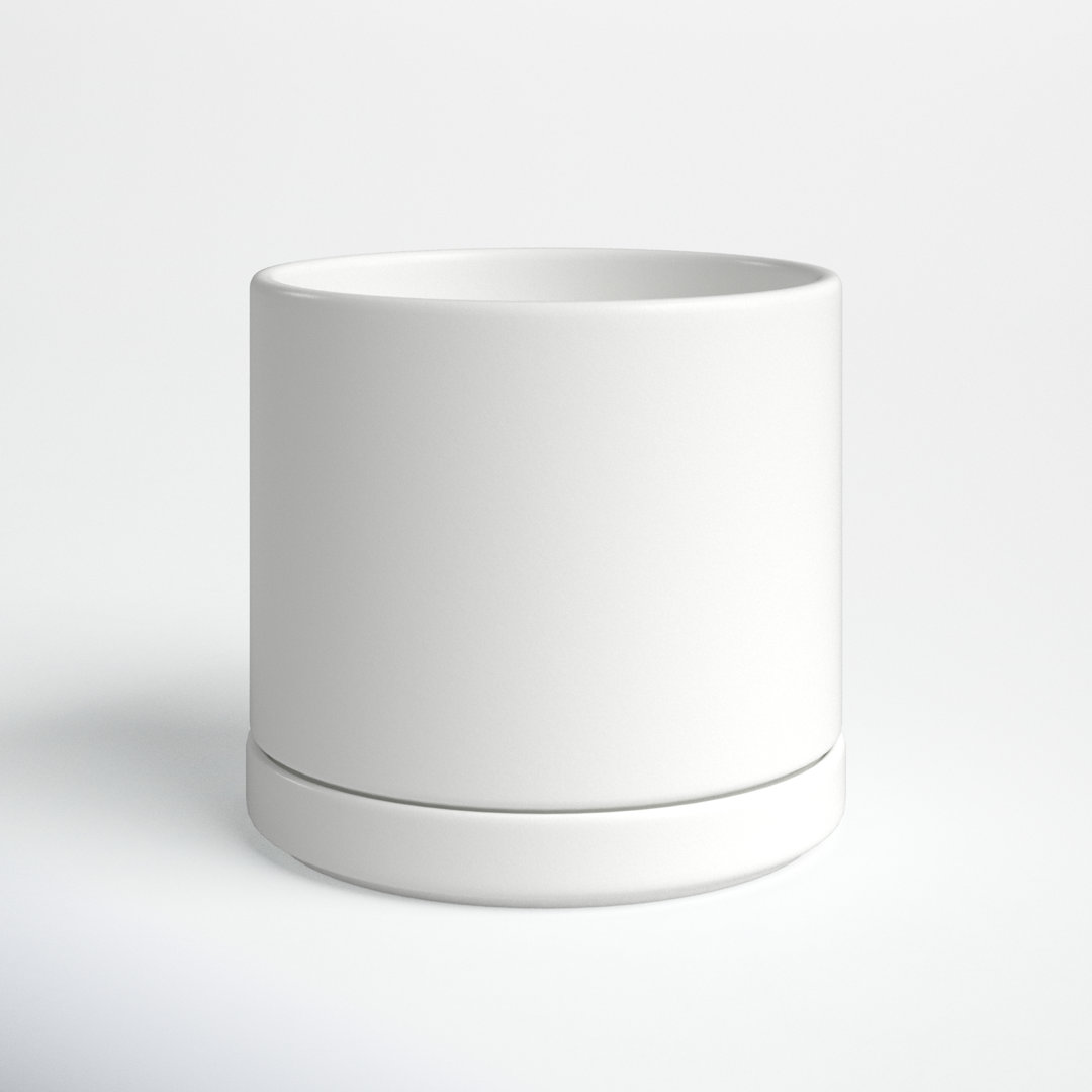 Cheryl Handmade Ceramic Pot Planter AllModern 