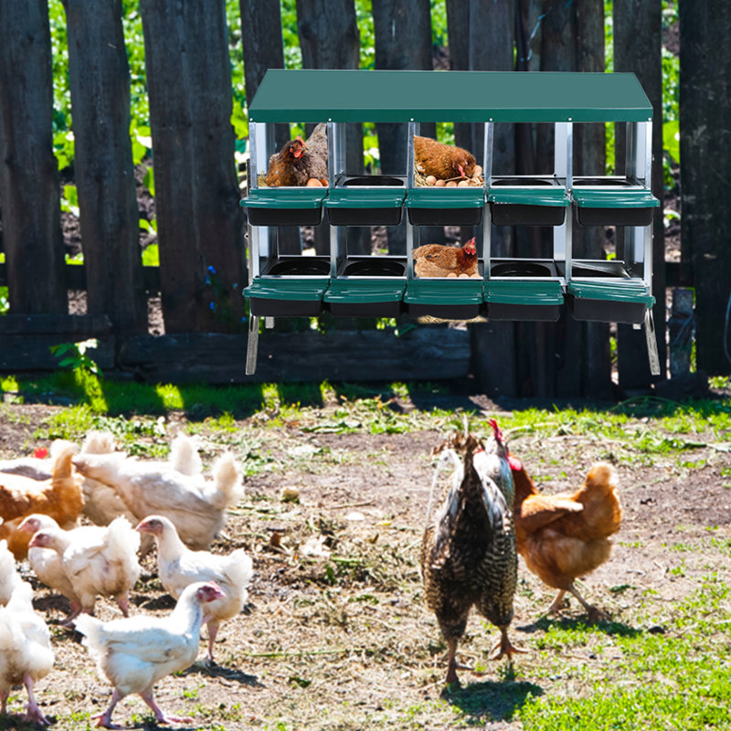 Heavy Duty Chicken Nesting Box – Automatic Roll-Away Egg Collection, Galvanized Steel Wall Mount or Stand, Ventilated Hen Laying Box for Coop – Easy-Clean
