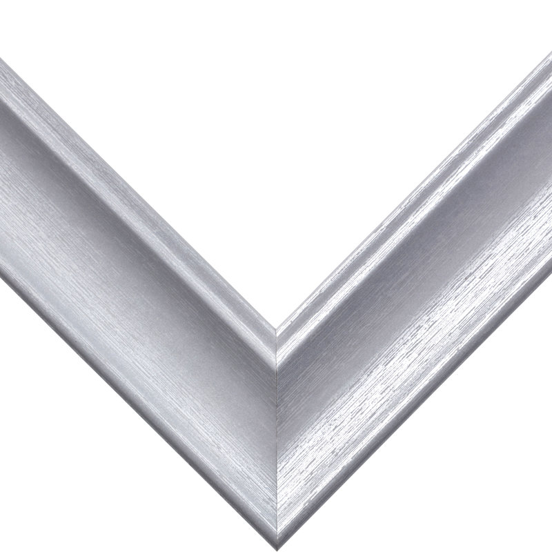 Cadre photo simple biseauté toxey, Argent brossé, 14 po x 18 po emmêlé à 12 po x 16 po