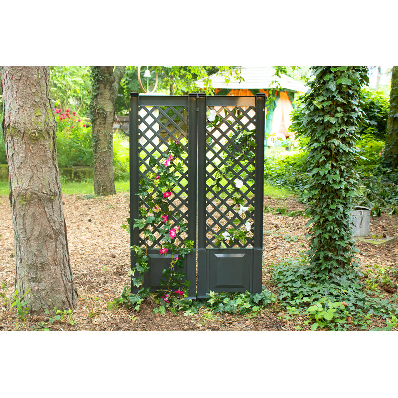 Auburndale 140cm H x 86cm W Plastic Lattice Panel Trellis, Anthracite