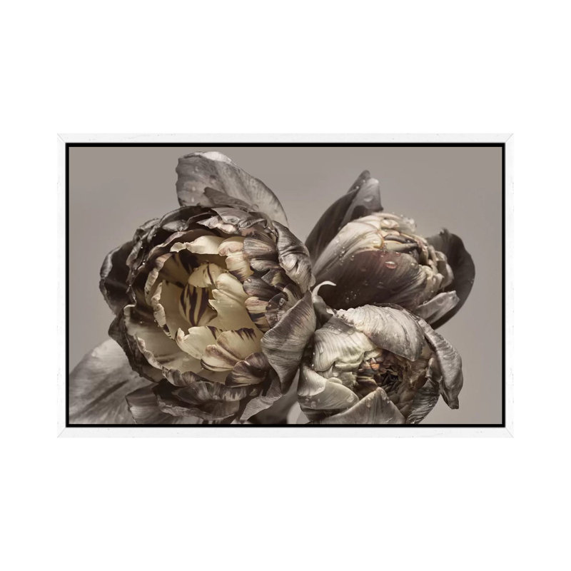 Baroque IV - Print on Canvas, 66.04cm H x 101.6cm W x 3.81cm D, White Framed
