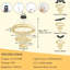 Luminaires modernes en cristal avec anneaux-1213869648-1213869650