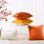 Housse de coussin en velours -1109674983