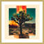 "Bold Joshua Tree" par Walker Noble, impression sur bois encadrée-109724986