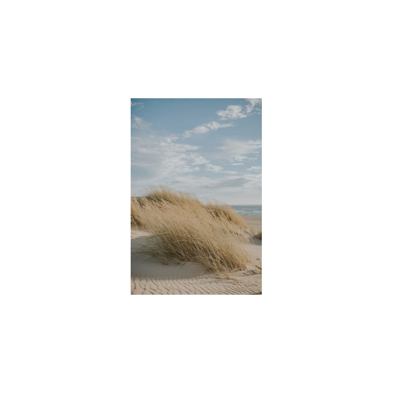 Wrapped Canvas Print, 76.2 cm H x 50.8 cm W