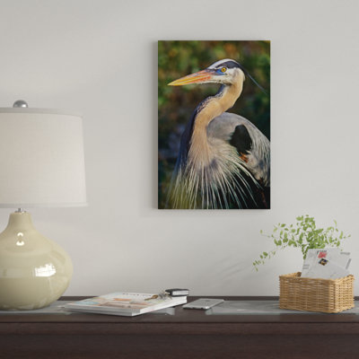 «Great Heron, North America», impression sur toile