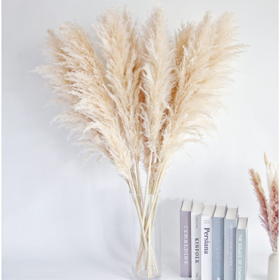 Pampa Arrangement