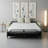 Marlene 81" Genuine Italian Top Grain Leather Queen Sleeper Sofa Bed with Memory Foam Mattress-59137199