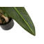 250cm Faux Banana Leaf Plant in Pot